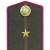 Офицеры, полевые погоны. Интендантская служба.